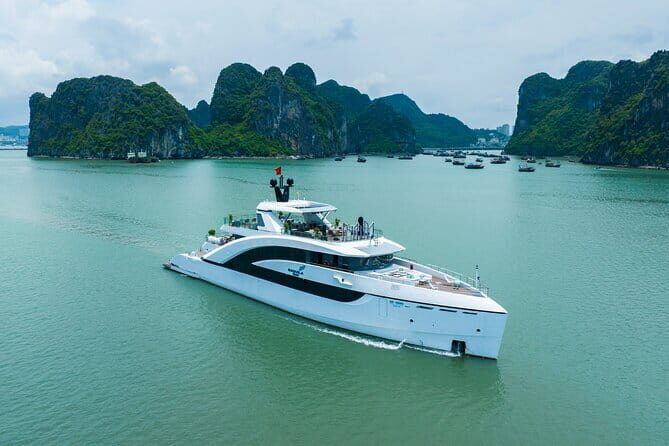 Day Trip - Luxury Experience in Ha Long Bay by Saquila Yacht - The Experience: A Deep Dive into the Tour