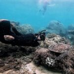 Day Trip Secret Island West Of Lombok - The Value Proposition