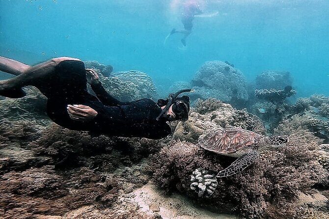 Day Trip Secret Island West Of Lombok - The Value Proposition