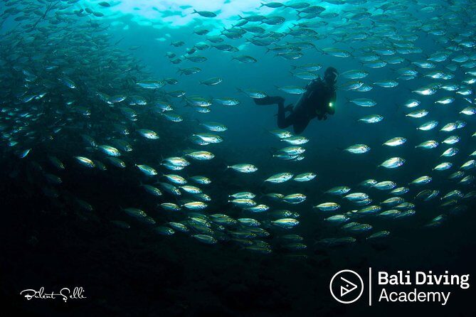 Day Trip Snorkeling in Tulamben - Explore Liberty Wreck (pick up in South Bali) - What Makes This Tour Stand Out?