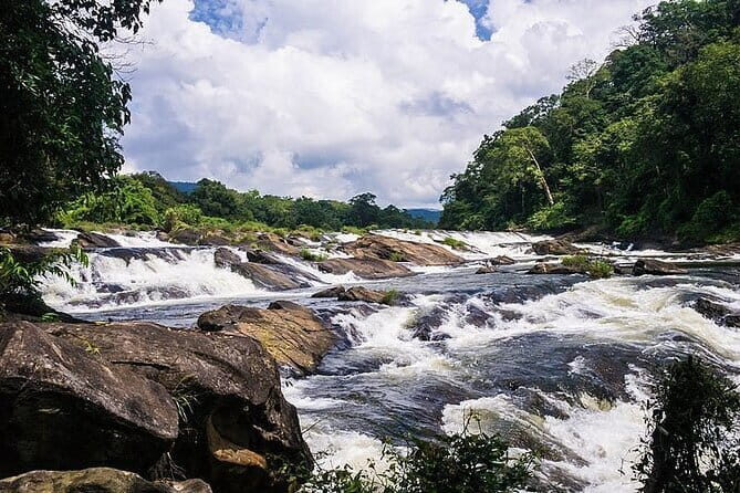 Day Trip to Athirappilly Water Falls by Kochi Taxi - Who Should Consider This Tour?