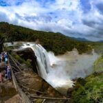 Day Trip to Athirappilly Water Falls from Kochi. - Who This Tour Is Best For