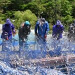 Day trip to beautiful Korean marine national park, Hallyeohaesang - The Itinerary: What You Can Expect
