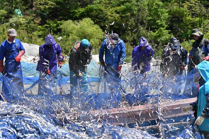 Day trip to beautiful Korean marine national park, Hallyeohaesang - The Itinerary: What You Can Expect