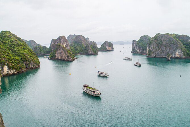 Day trip to Halong Bay from Hanoi - Practical Details and What You Should Know