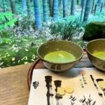 Day Trip to Kamakura & Enoshima: Shrines, Seaside, Temples & Tea - Who Is This Tour Best For?