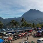 Day Trip to Kinabalu Park and Poring Hot Spring Guided Tour - What Makes This Tour Stand Out?