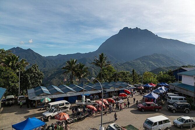 Day Trip to Kinabalu Park and Poring Hot Spring Guided Tour - What Makes This Tour Stand Out?