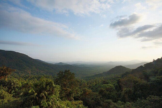 Day Trip to Mollem National Park Including Dudhsagar Falls and Jeep Safari from Goa - Is This Tour Worth It?