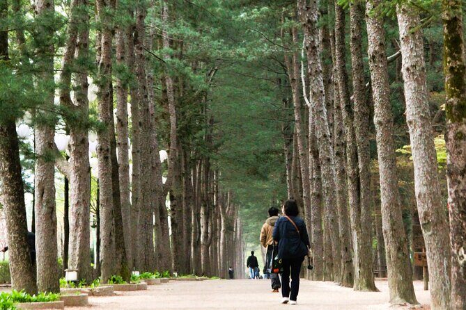 Day Trip to Nami Island with Rail bike and The Garden of Morning Calm - FAQ