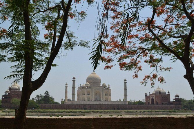 Day Trip to Taj Mahal From Delhi - Authenticity and Insights from Reviews