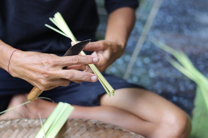 Day with a Balinese Family in a Village - Pricing and Value
