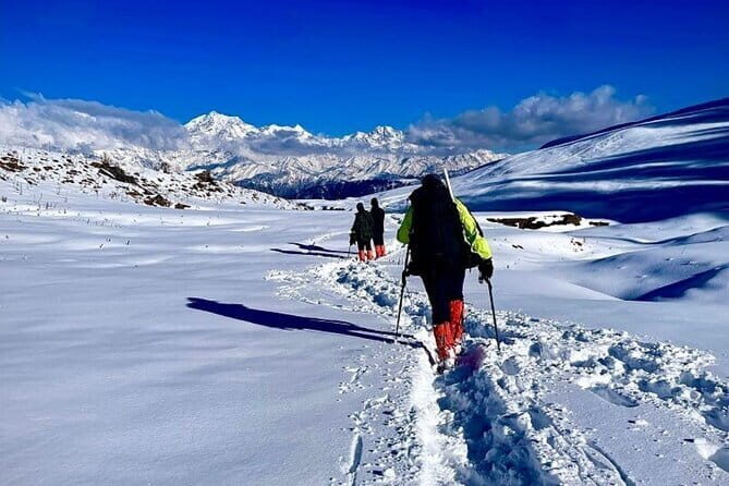 Dayara Bugyal and Surya Top Trek - The Journey: A Detailed Breakdown of the Trek