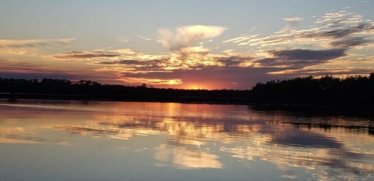 Daytona/New Smyrna Beach: Unforgettable Kayak Wildlife tours - Practical Details and How to Make the Most of the Experience
