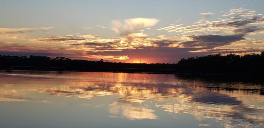 Daytona/New Smyrna Beach: Unforgettable Kayak Wildlife tours - Practical Details and How to Make the Most of the Experience