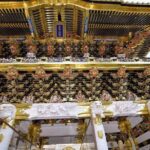 Daytrip to Nikko from Tokyo with local Japanese Photograher guide - Who This Tour Is Best For
