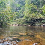 Dediyagala Village Tour(from Galle, Mirissa, Ahangama, Matara) - Exploring the Itinerary: What You Can Expect