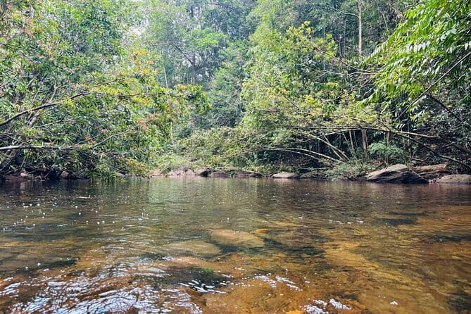 Dediyagala Village Tour(from Galle, Mirissa, Ahangama, Matara) - Exploring the Itinerary: What You Can Expect