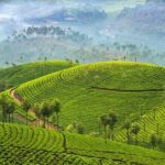 Deep South of India - Kerala and Tamil Nadul - What Makes This Tour Special
