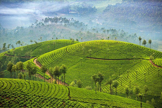 Deep South of India - Kerala and Tamil Nadul - What Makes This Tour Special