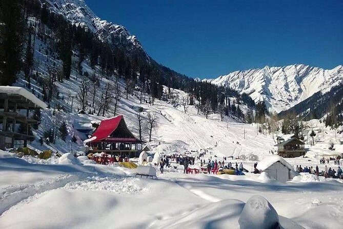 Delhi Agra Shimla Manali Tour Package 6 Night 7 Days - Who Is This Tour Best For?