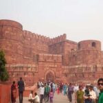 Delhi and Agra Private Combo Tour from Delhi - Who Is This Tour Best For?