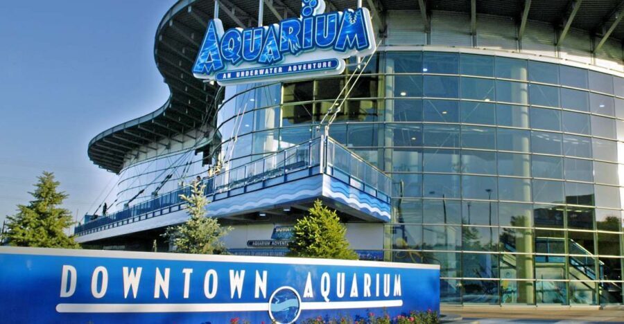 Denver: Downtown Aquarium All-Day Pass - Detailed Breakdown of the Exhibits and Activities