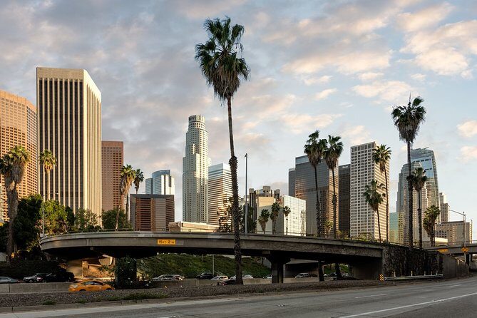 Departure Private Transfer: Los Angeles to Airport LAX in Luxury SUV - What Does the Service Include?