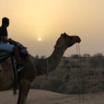 Desert Camel Safari Day Tour In Jodhpur - Final thoughts: who should consider this tour?