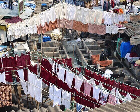 Dharavi Slum Tour with Guide and Transport - Why This Tour Really Works