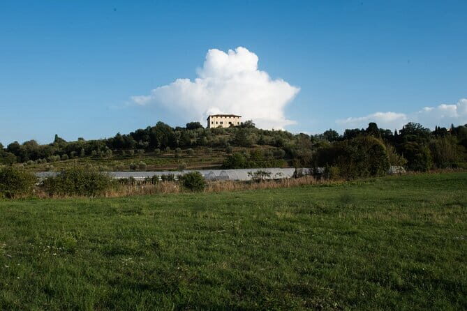 Dining Experience in a 13th-Century Monastery in Florence - Practical Details and Considerations