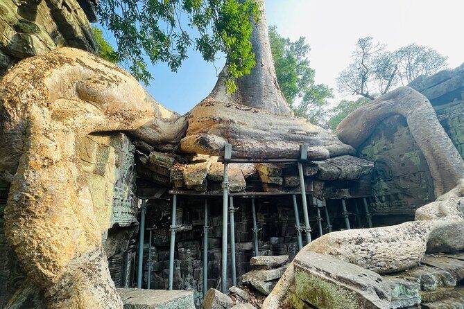 Discover Cambodias Heart: Siem Reap to Battambang Tours - Authentic Experiences and Genuine Value