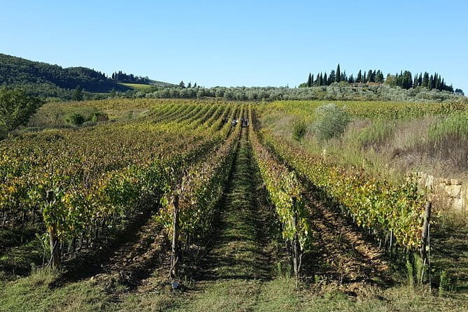 Discover Chianti Through its Wines - Frequently Asked Questions