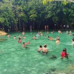 Discover Krabi - Emerald Pool, Hot Springs & Tiger Cave Temple - Emerald Pool (Sa Morakot)