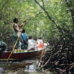 Discover Mangrove Forest and Cave Tour in Langkawi (Shared Tour) - Authentic Reviewer Insights
