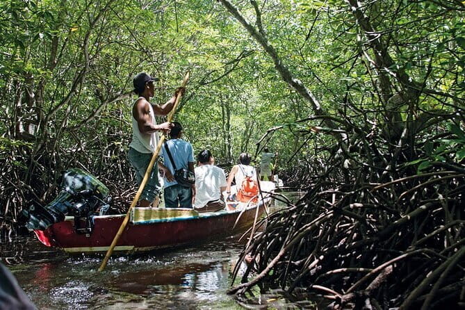Discover Mangrove Forest and Cave Tour in Langkawi (Shared Tour) - Authentic Reviewer Insights