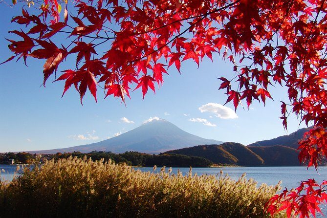 Discover Mt. Fuji 5th Station & Kawaguchiko Sightseeing Day Tour - What Travelers Are Saying