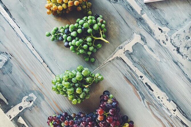 Discover Napa Valleys Hidden Gems with Local Sommelière - How Does the Price Stack Up?