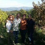 Discover Organic and Biodynamic Chianti Small Wineries - An In-Depth Look at the Experience