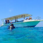 Discover Scuba Diving and dive in Menjangan Island Marine Park 2 dives - Why Choose This Tour?
