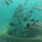 Discover Scuba Diving ( beginners) Combined With Jet Ski - Detailed Itinerary Breakdown