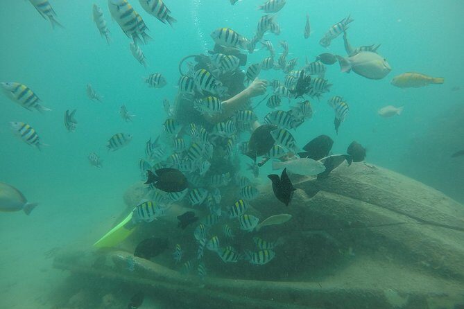 Discover Scuba Diving ( beginners) Combined With Jet Ski - Detailed Itinerary Breakdown
