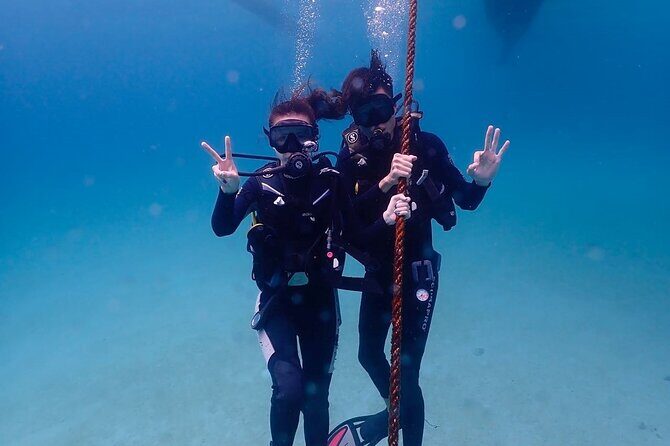 Discover Scuba diving in El Nido - The Marine Environment: Why It’s Worth the Trip