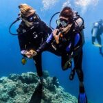 Discover Scuba Diving in Pemuteran - Diving Initiation in Bali (Menjangan Park) - Who Should Consider This Tour?