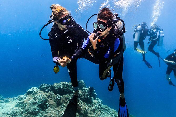 Discover Scuba Diving in Pemuteran - Diving Initiation in Bali (Menjangan Park) - Who Should Consider This Tour?