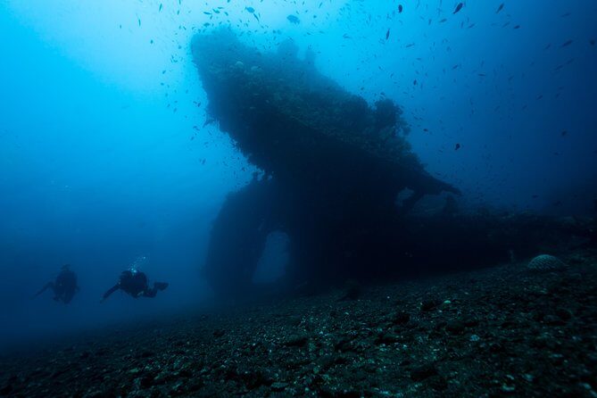 Discover Scuba Diving in Tulamben - Diving Initiation in Bali best diving sites - Who Will Love This Tour?