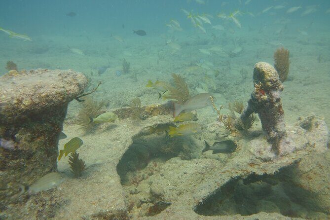 Discover Snorkeling Tour in Panama City - Who Will Love This Tour?