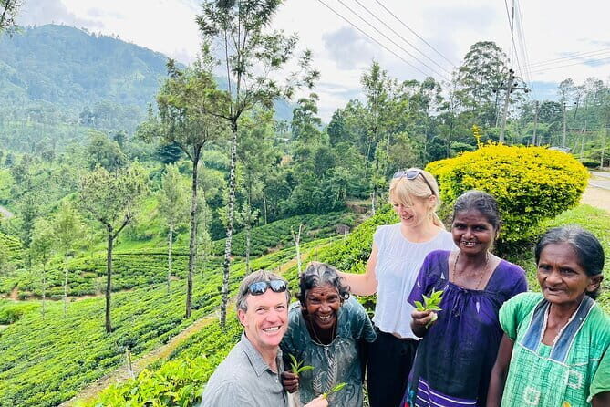 Discover Sri Lanka with Tailored Tours for Timeless Memories - Price and Value