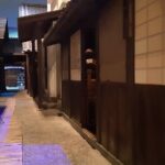 Discover the wonders of Edo Tokyo on this amazing small group tour! - Practical Details and What to Expect