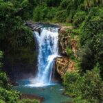 Discover Ubud: Exotism Ubud and Optional Meet the Bali Shaman - Frequently Asked Questions (FAQs)